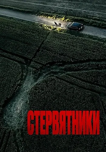 Стервятники (2025)